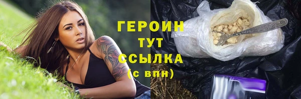 шишки Новодвинск