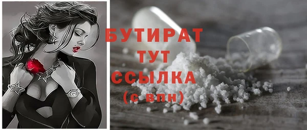 шишки Новодвинск