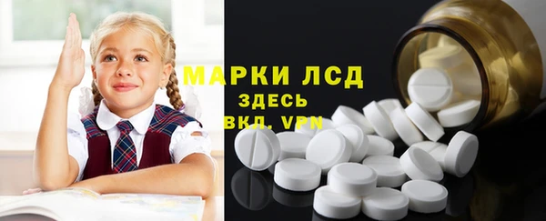 шишки Новодвинск