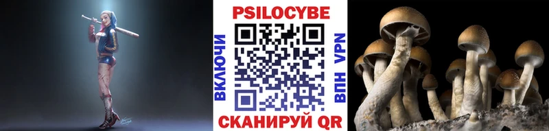 даркнет наркотические препараты  наркота  Черемхово  Псилоцибиновые грибы Magic Shrooms 