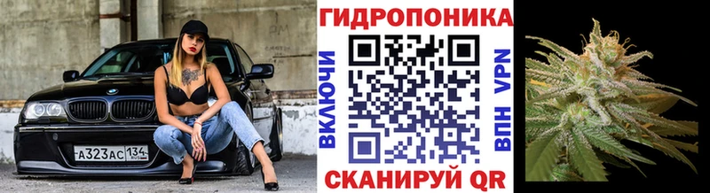 ссылка на мегу   Черемхово  МАРИХУАНА SATIVA & INDICA 